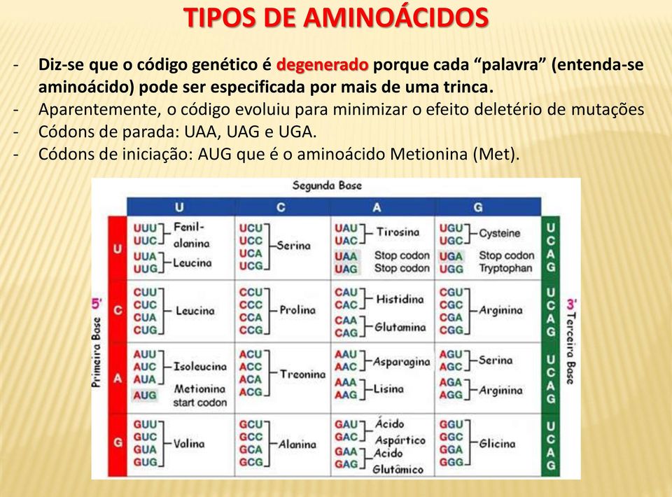 - Aparentemente, o código evoluiu para minimizar o efeito deletério de mutações -