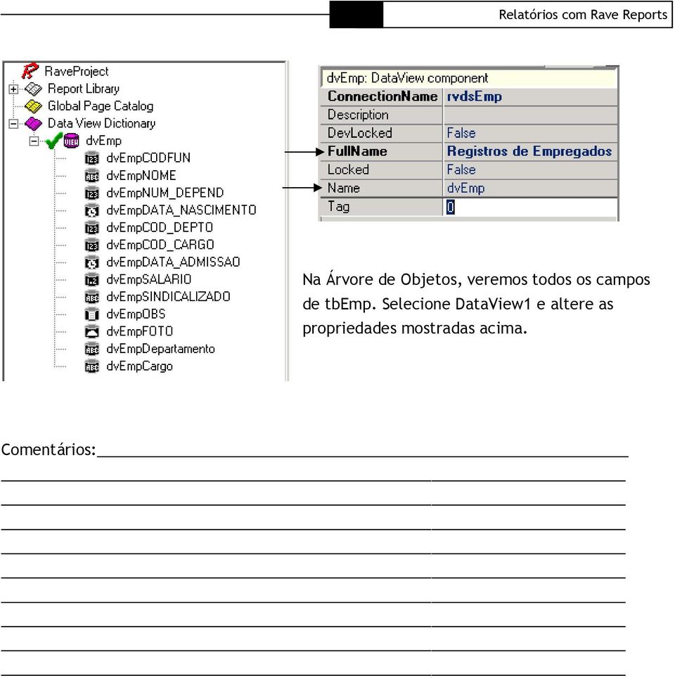 Selecione DataView1 e altere as