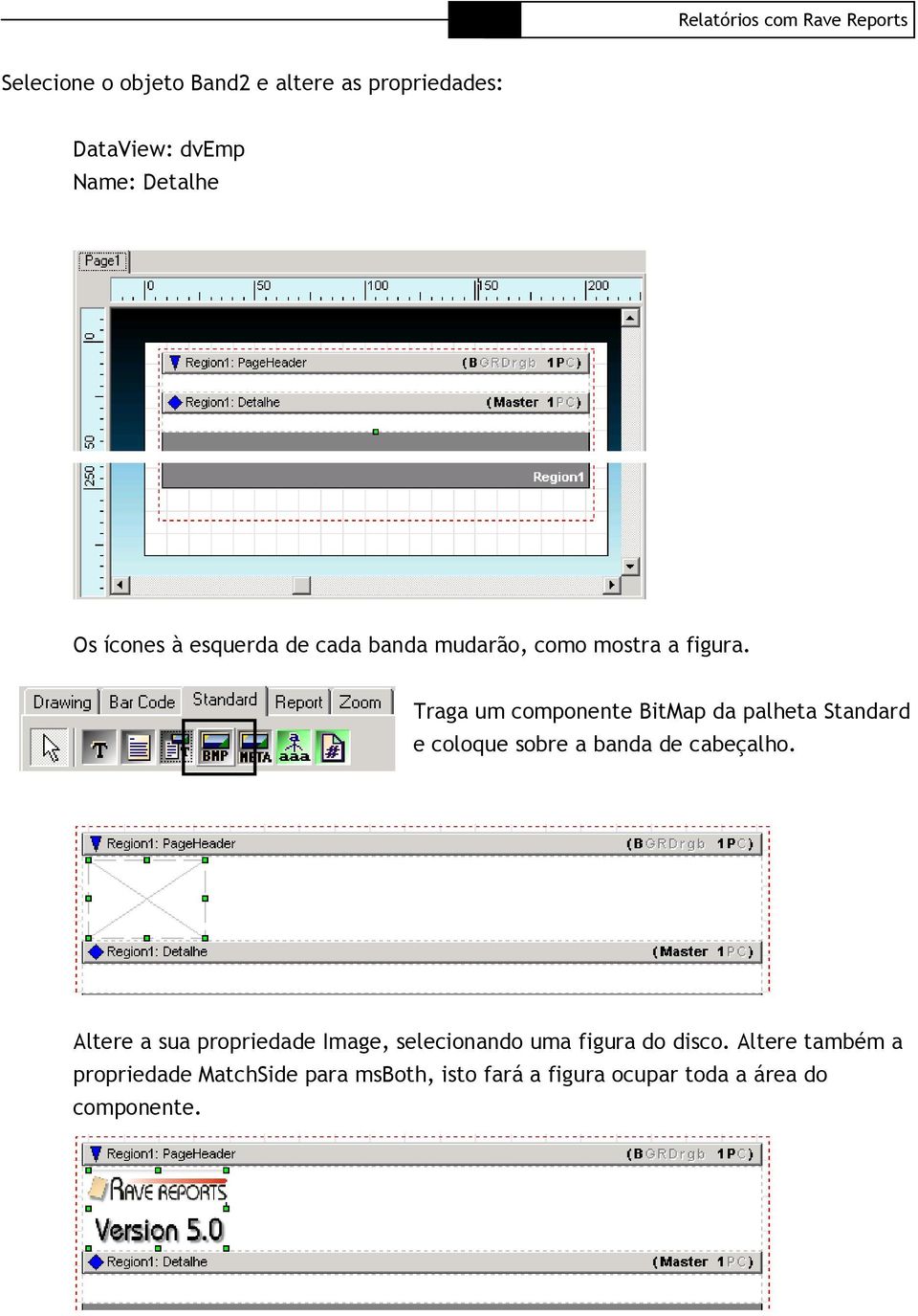 Traga um componente BitMap da palheta Standard e coloque sobre a banda de cabeçalho.