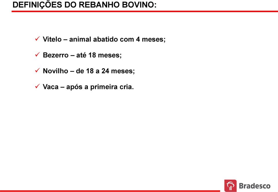 Bezerro até 18 meses; Novilho de