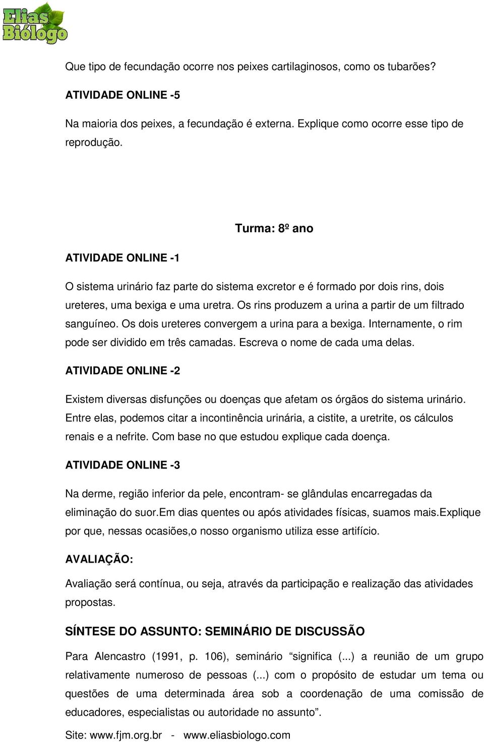 Os rins produzem a urina a partir de um filtrado sanguíneo. Os dois ureteres convergem a urina para a bexiga. Internamente, o rim pode ser dividido em três camadas. Escreva o nome de cada uma delas.