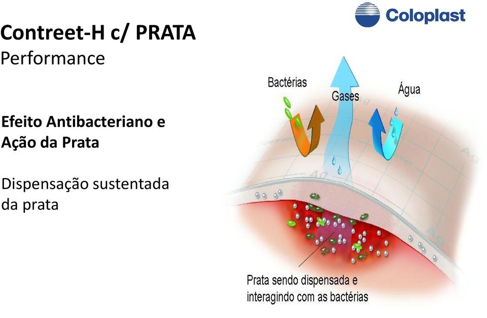 Antibacteriano e Ação da