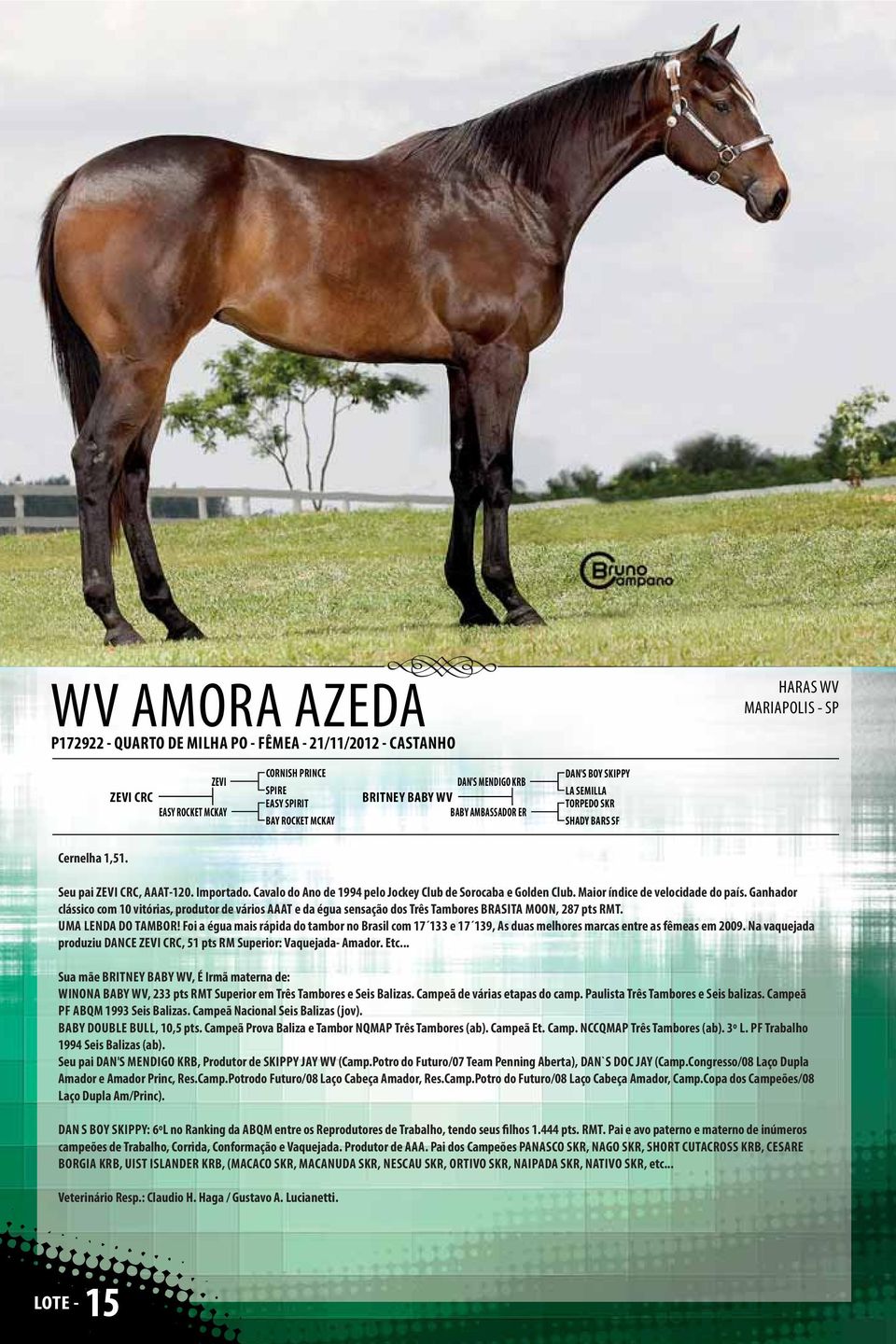 Cavalo do Ano de 1994 pelo Jockey Club de Sorocaba e Golden Club. Maior índice de velocidade do país.