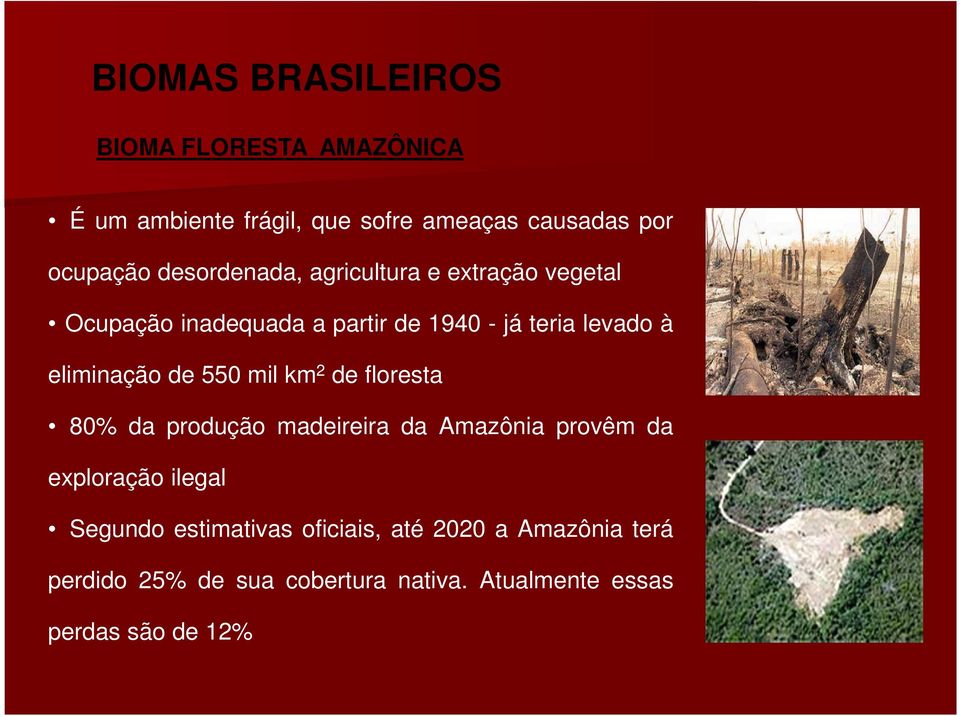 eliminação de 550 mil km 2 de floresta 80% da produção madeireira da Amazônia provêm da exploração ilegal