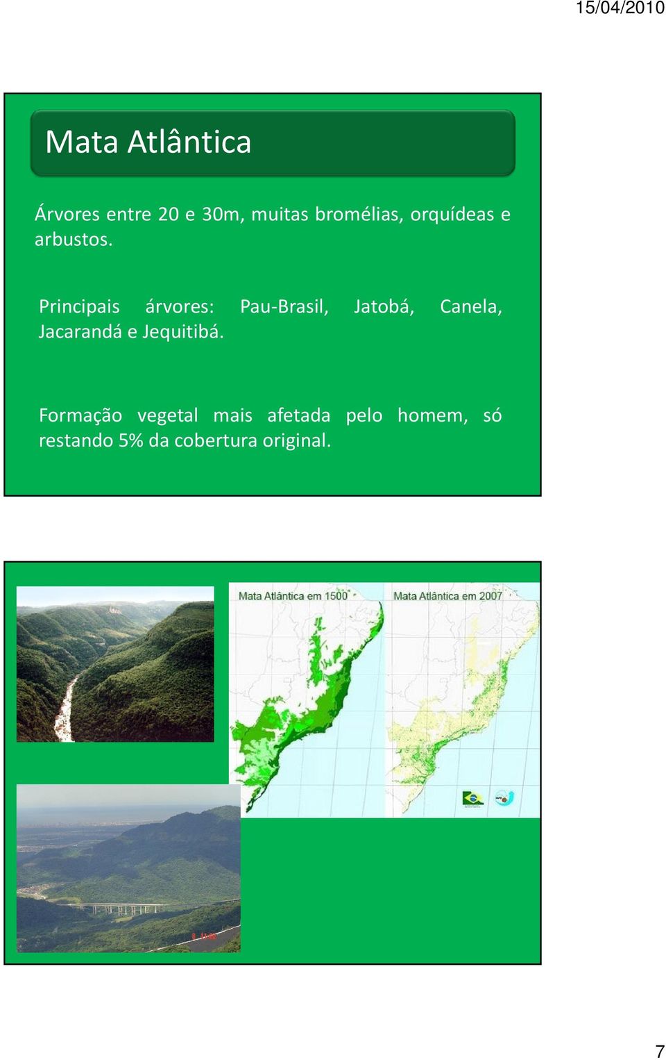 Principais árvores: Pau-Brasil, Jatobá, Canela, Jacarandá