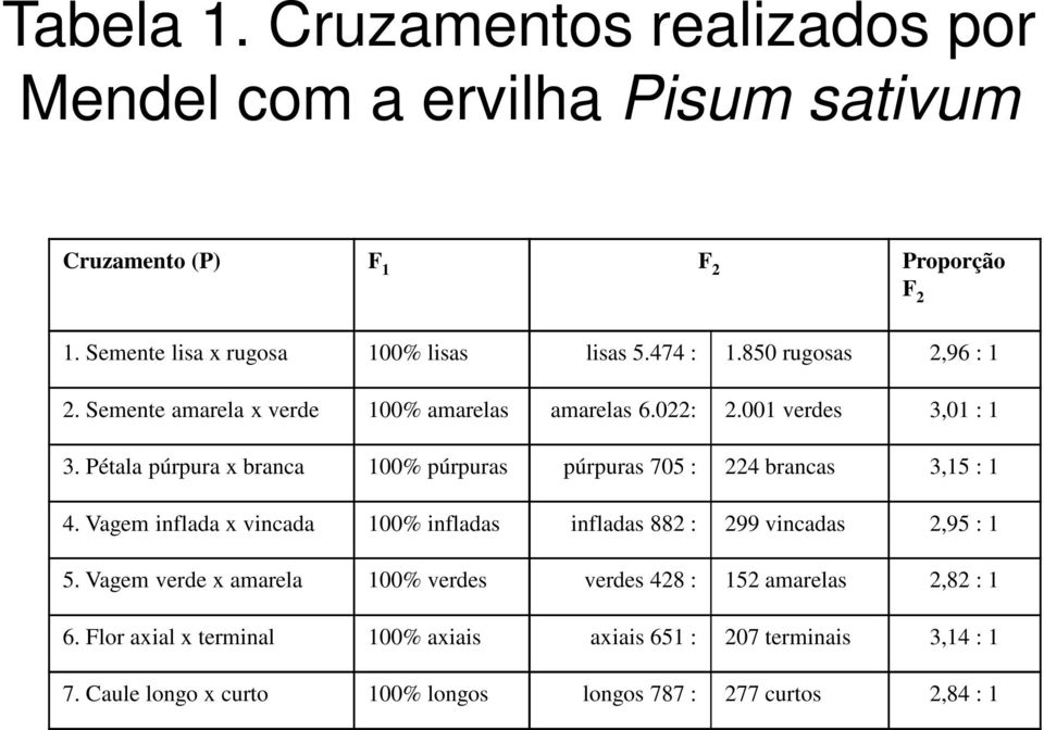 Pétala púrpura x branca 100% púrpuras púrpuras 705 : 224 brancas 3,15 : 1 4. Vagem inflada x vincada 100% infladas infladas 882 : 299 vincadas 2,95 : 1 5.