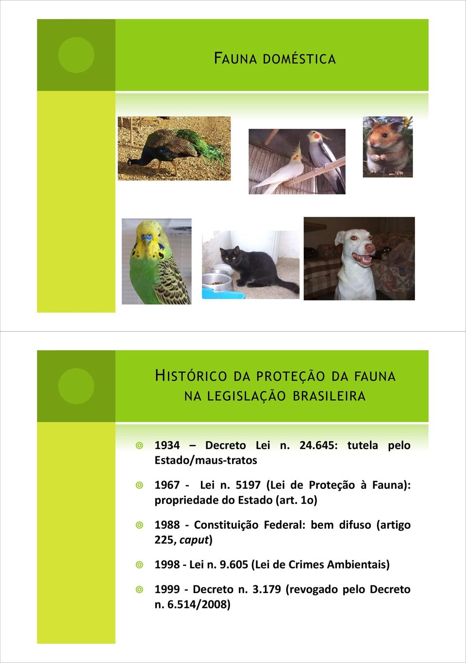 5197 (Lei de Proteção à Fauna): propriedade do Estado(art.