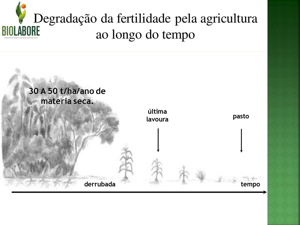 A 50 t/ha/ano de materia seca.