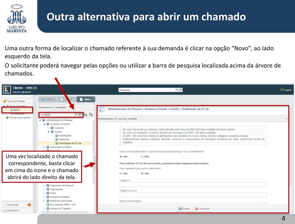 O solicitante poderá navegar pelas opções ou utilizar a barra de pesquisa localizada acima da