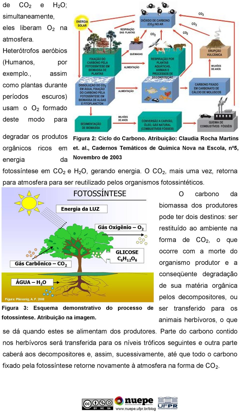 al., Cadernos Temáticos de Química Nova na Escola, nº5, Novembro de 2003 fotossíntese em CO 2 e H 2 O, gerando energia.