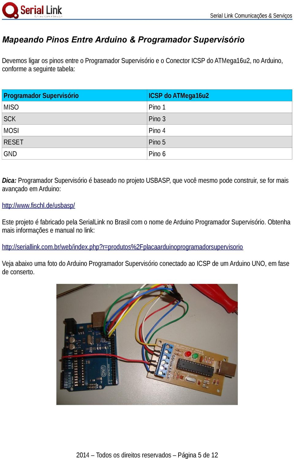 avançado em Arduino: http://www.fischl.de/usbasp/ Este projeto é fabricado pela SerialLink no Brasil com o nome de Arduino Programador Supervisório.