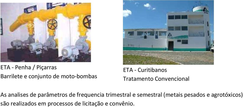 parâmetros de frequencia trimestral e semestral (metais