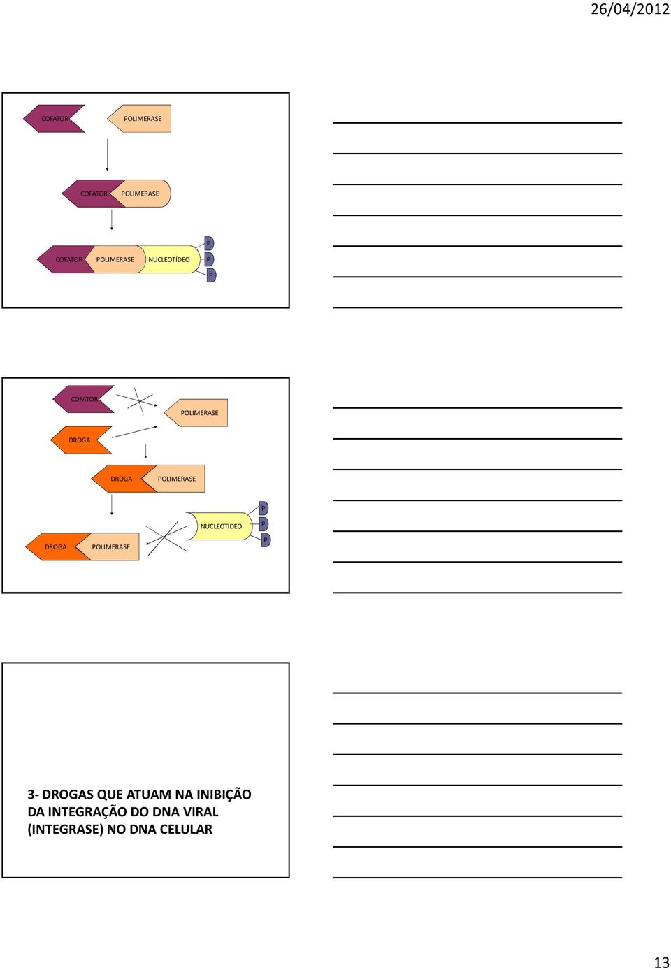 NUCLEOTÍDEO DROGA OLIMERASE 3-DROGAS QUE ATUAM NA