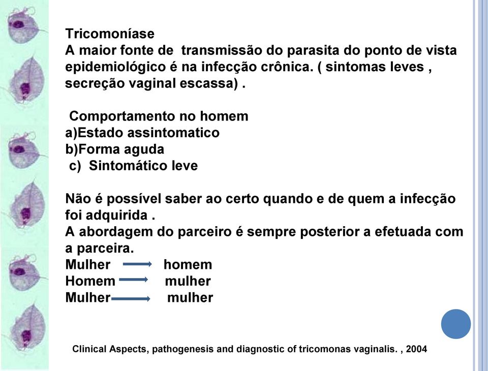 Comportamento no homem a)estado assintomatico b)forma aguda c) Sintomático leve Não é possível saber ao certo quando e de