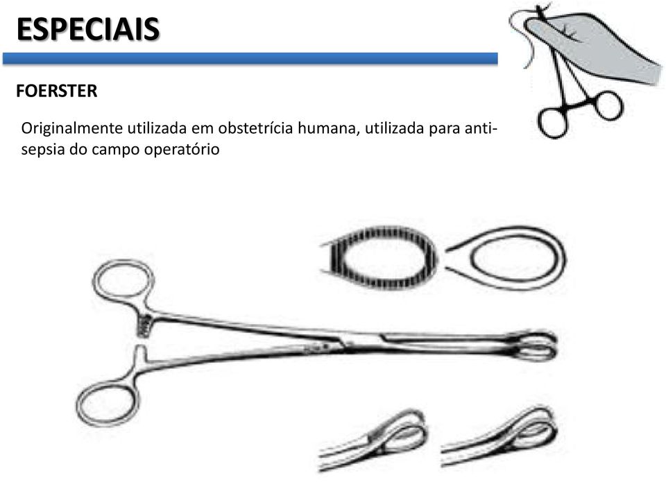 obstetrícia humana,