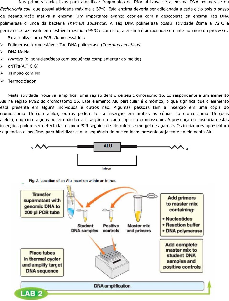 Um importante avanço ocorreu com a descoberta da enzima Taq DNA polimerase oriunda da bactéria Thermus aquaticus.