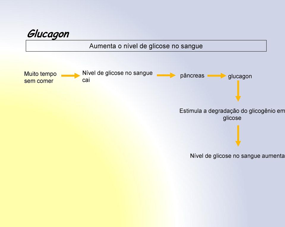 cai pâncreas glucagon Estimula a degradação do