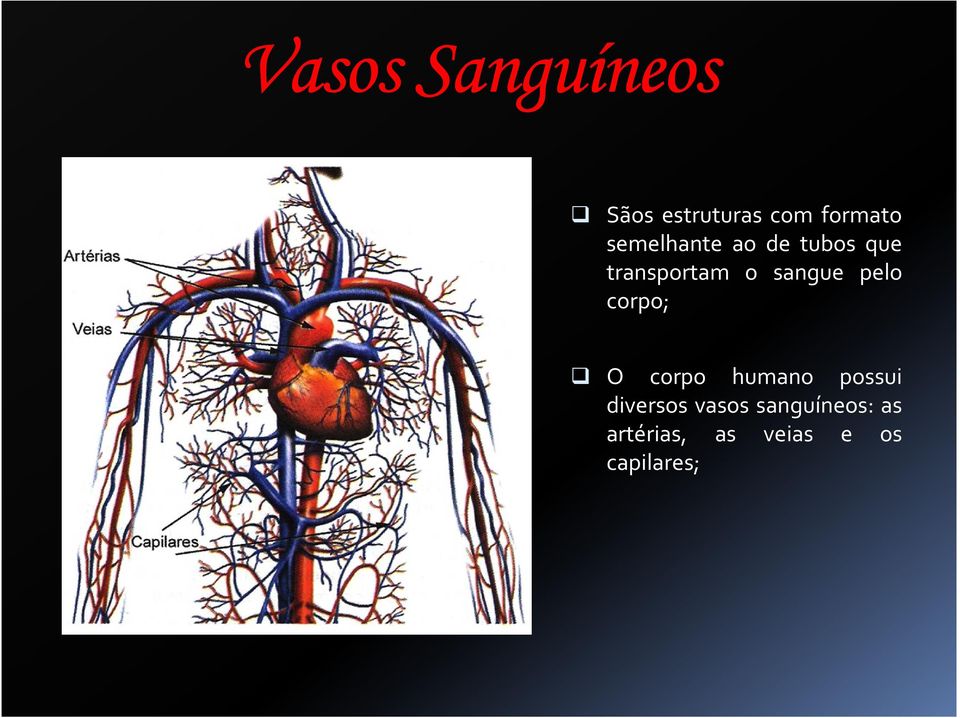 pelo corpo; O corpo humano possui diversos