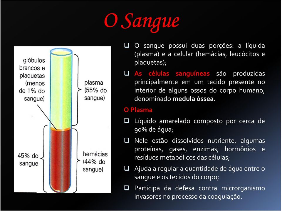 OPlasma Líquido amarelado composto por cerca de 90%deágua; Nele estão dissolvidos nutriente, algumas proteínas, gases, enzimas, hormônios e