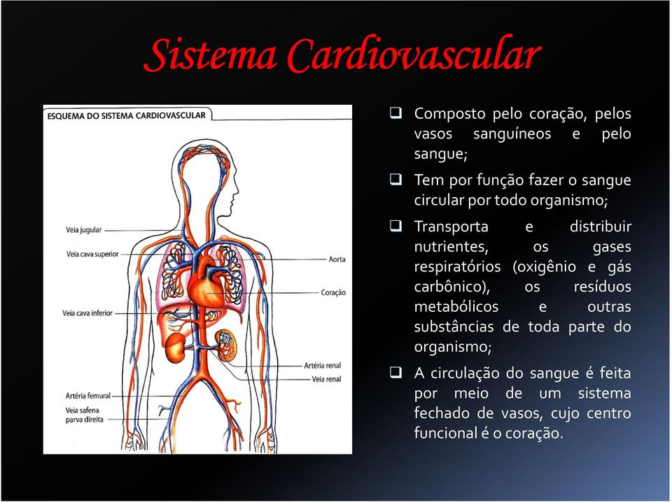 (oxigênio e gás carbônico), os resíduos metabólicos e outras substâncias de toda parte do organismo; A