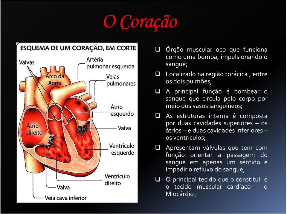 cavidades superiores os átrios e duas cavidades inferiores os ventrículos; Apresentam válvulas que tem com função orientar a passagem