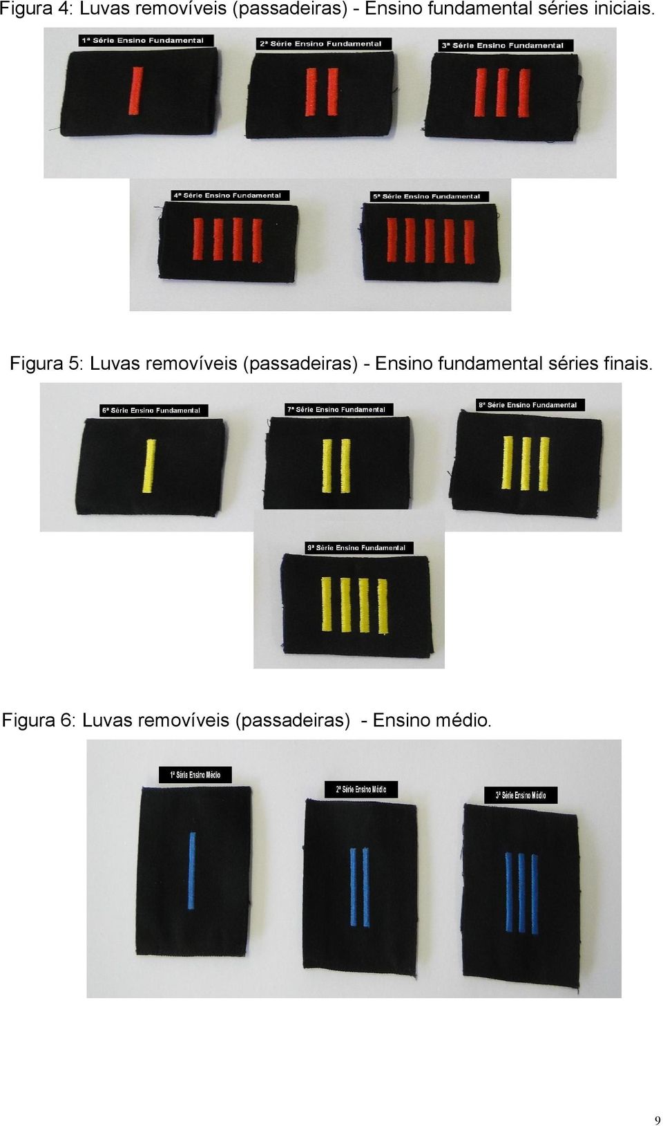 Figura 5: Luvas removíveis (passadeiras) - Ensino