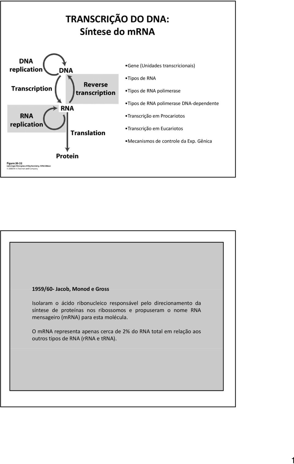 Gênica 1959/60 Jacob, Monod e Gross Isolaram o ácido ribonucleico responsável pelo direcionamento da síntese de proteínas nos