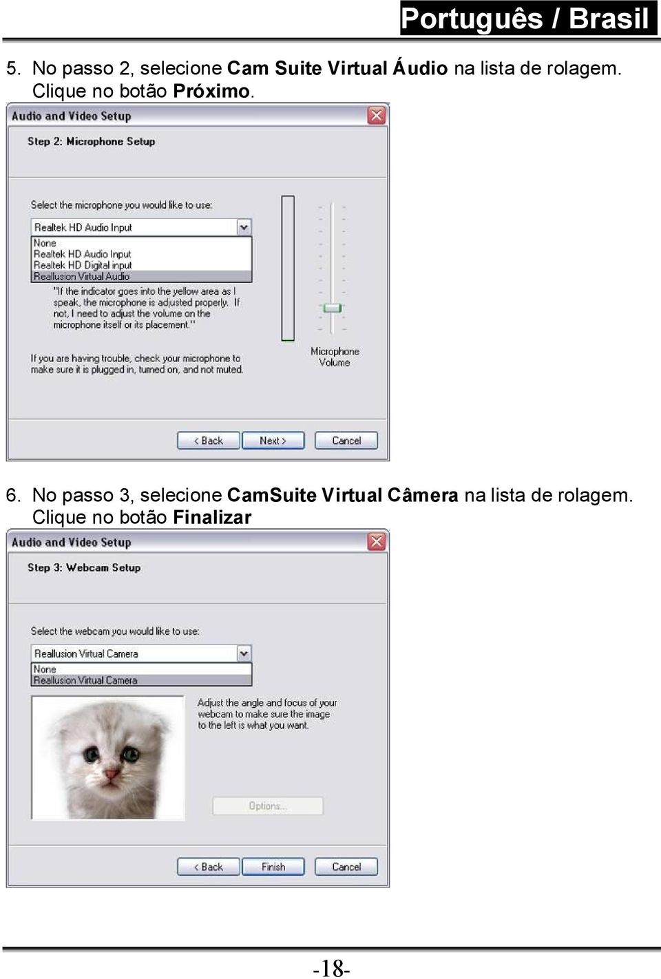 No passo 3, selecione CamSuite Virtual Câmera na