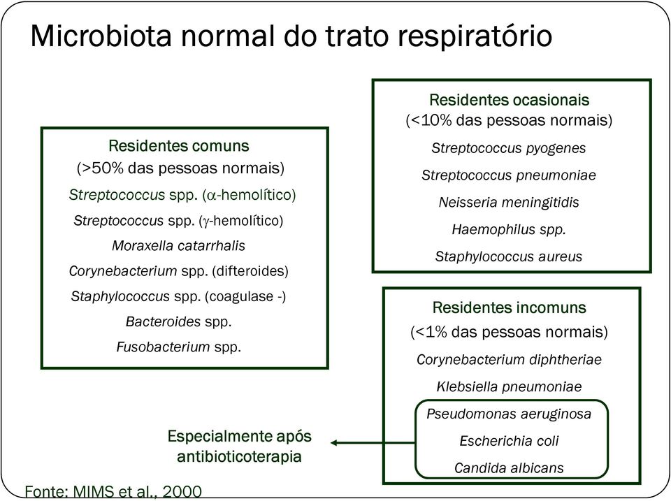 Especialmente após antibioticoterapia Fonte: MIMS et al.