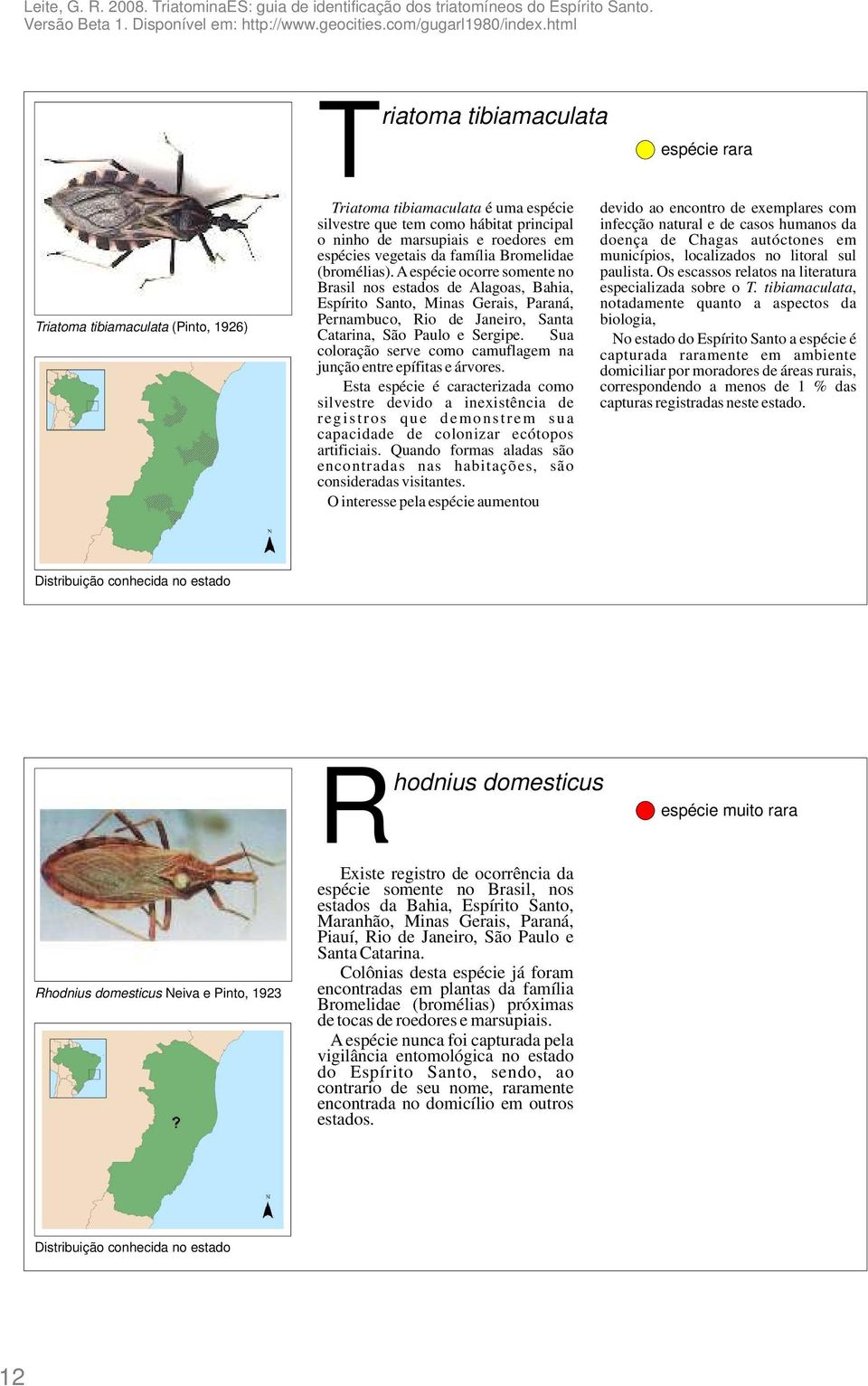 Sua coloração serve como camuflagem na junção entre epífitas e árvores.