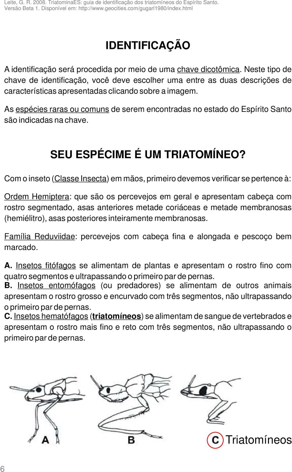 As espécies raras ou comuns de serem encontradas no estado do Espírito Santo são indicadas na chave. SEU ESPÉCIME É UM TRIATOMÍNEO?