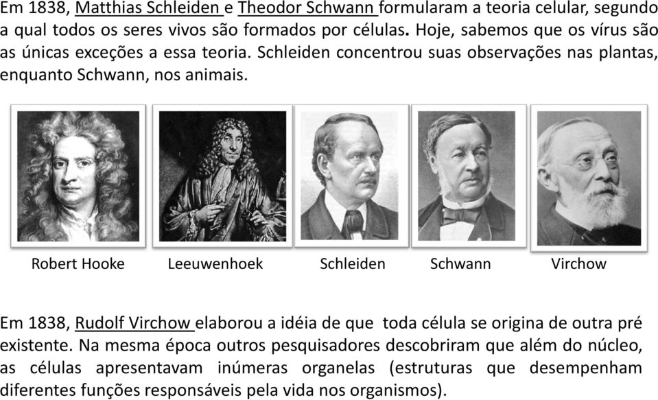 Robert Hooke Leeuwenhoek Schleiden Schwann Virchow Em 1838, Rudolf Virchow elaborou a idéia de que toda célula se origina de outra pré existente.