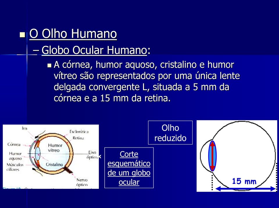 lente delgada convergente L, situada a 5 mm da córnea e a 15