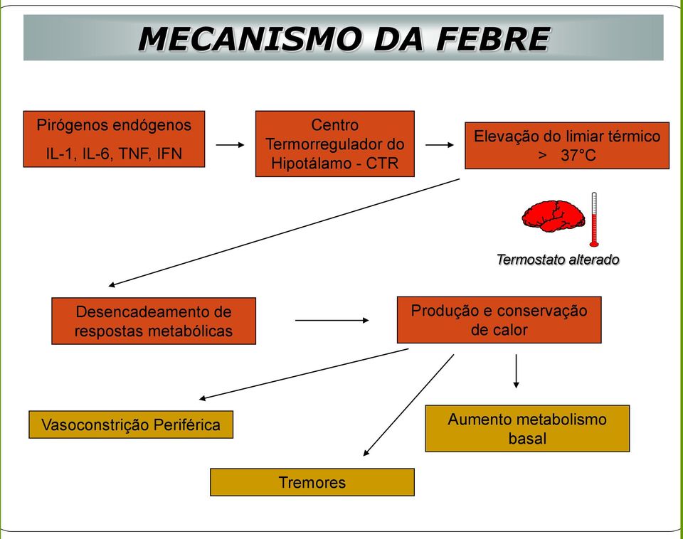 Termostato alterado Desencadeamento de respostas metabólicas Produção e