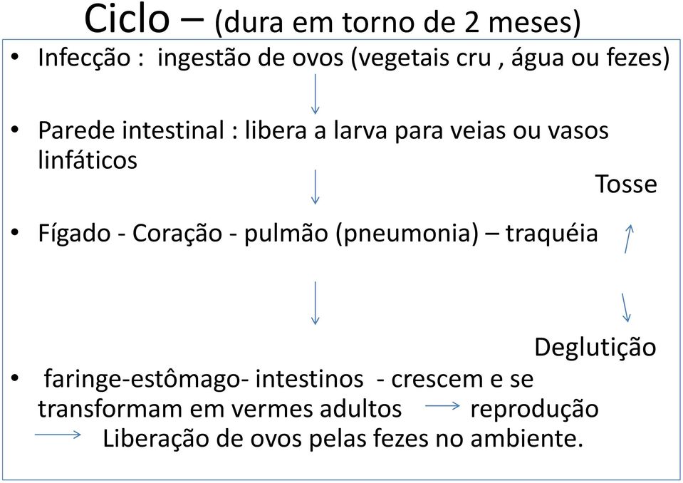 - Coração - pulmão (pneumonia) traquéia Deglutição faringe-estômago- intestinos -