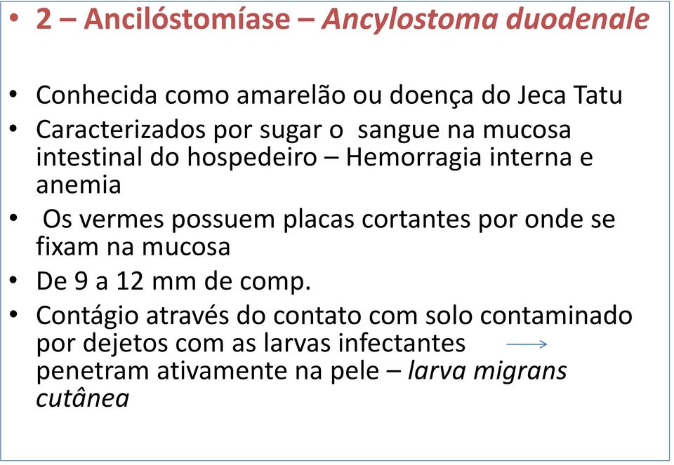 placas cortantes por onde se fixam na mucosa De 9 a 12 mm de comp.