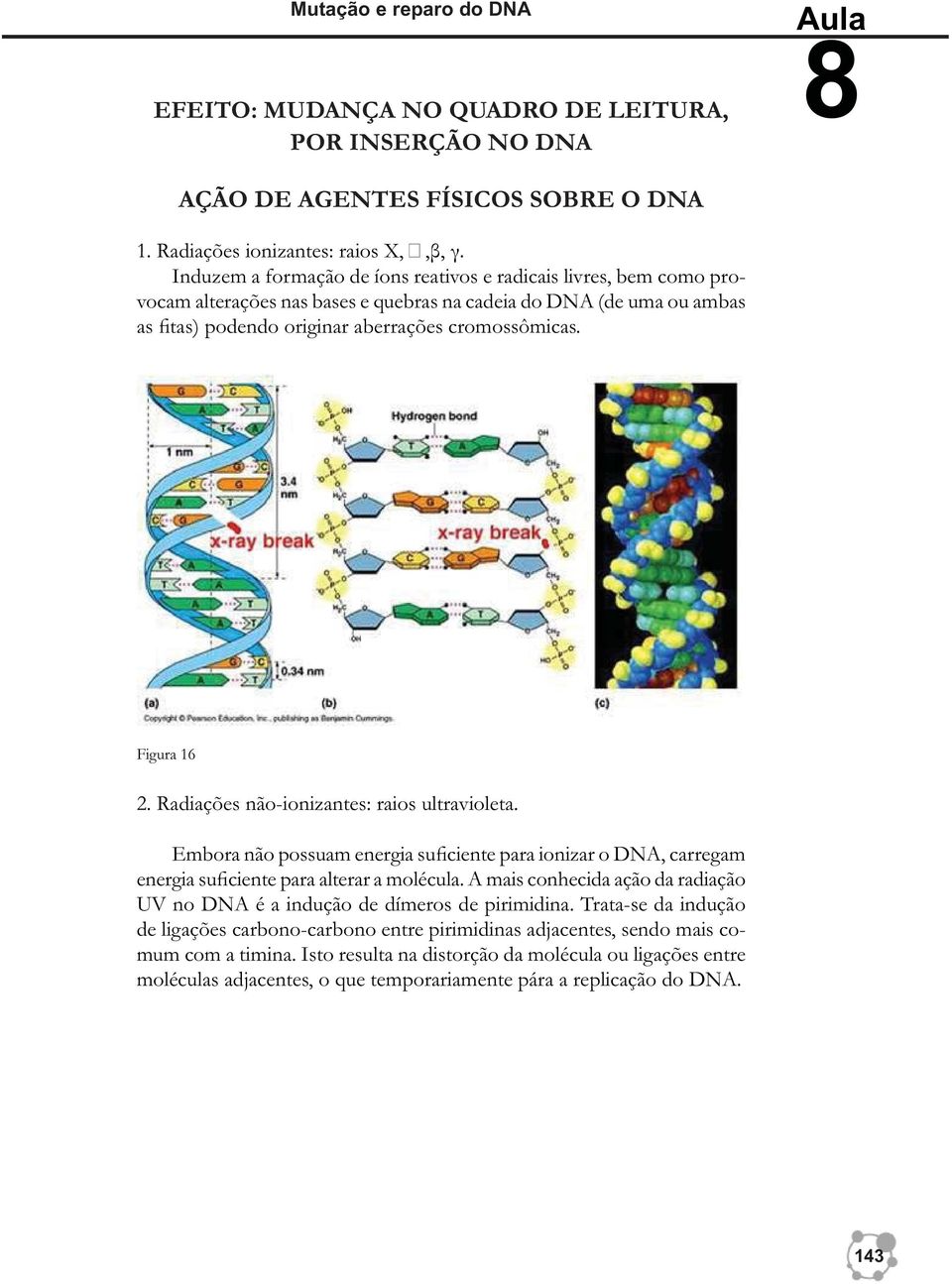 Figura 16 2. Radiações não-ionizantes: raios ultravioleta. Embora não possuam energia suficiente para ionizar o DNA, carregam energia suficiente para alterar a molécula.