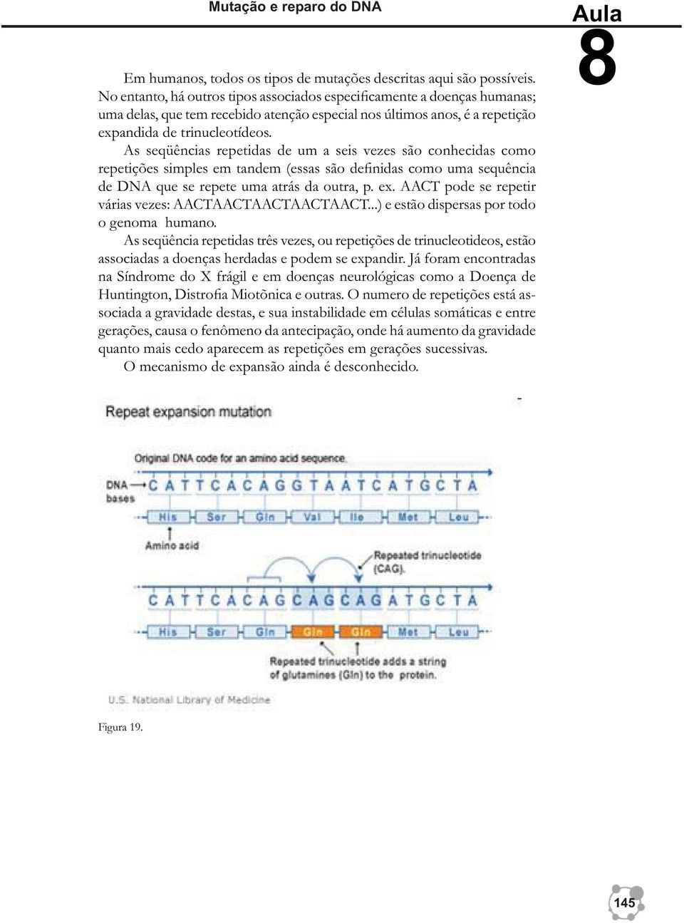 As seqüências repetidas de um a seis vezes são conhecidas como repetições simples em tandem (essas são definidas como uma sequência de DNA que se repete uma atrás da outra, p. ex.