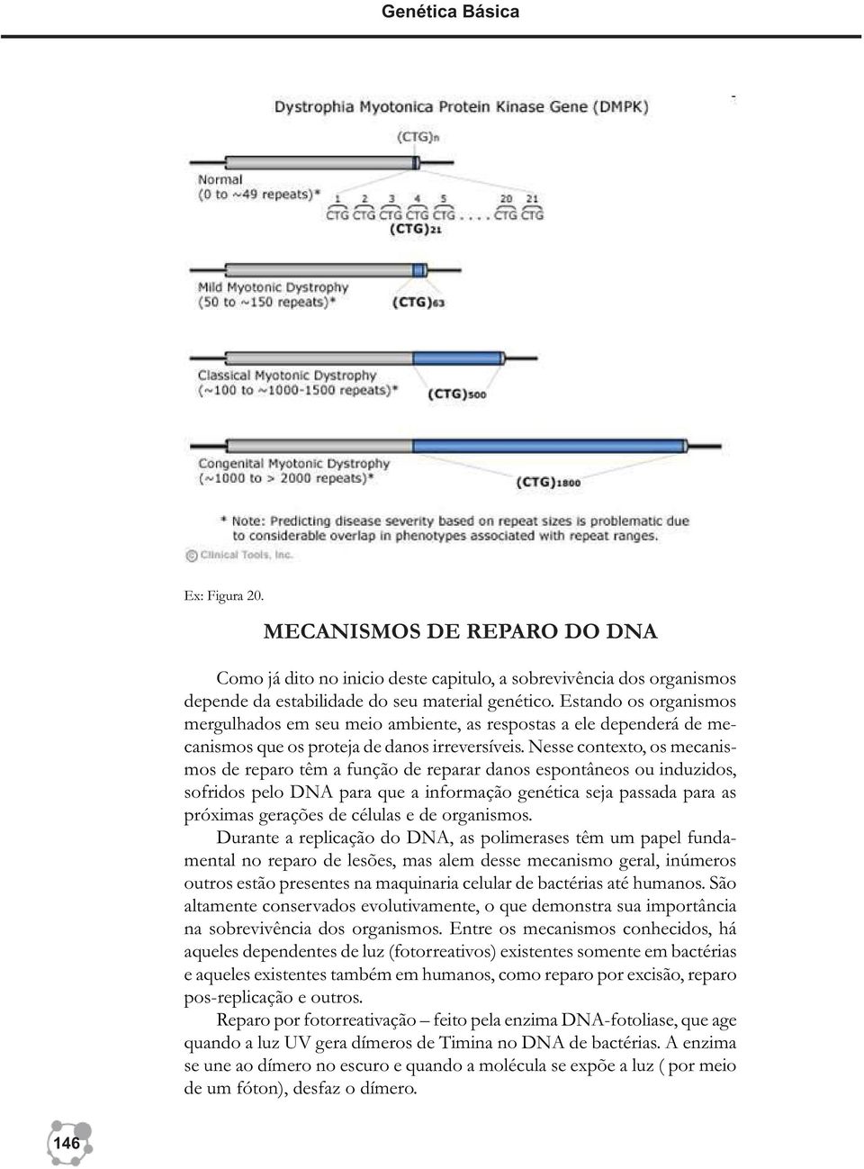 Nesse contexto, os mecanismos de reparo têm a função de reparar danos espontâneos ou induzidos, sofridos pelo DNA para que a informação genética seja passada para as próximas gerações de células e de