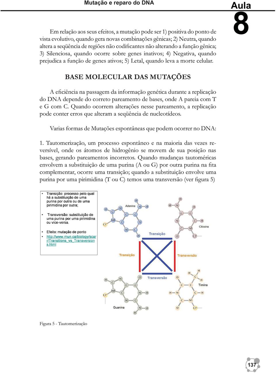 Aula 8 BASE MOLECULAR DAS MUTAÇÕES A eficiência na passagem da informação genética durante a replicação do DNA depende do correto pareamento de bases, onde A pareia com T e G com C.