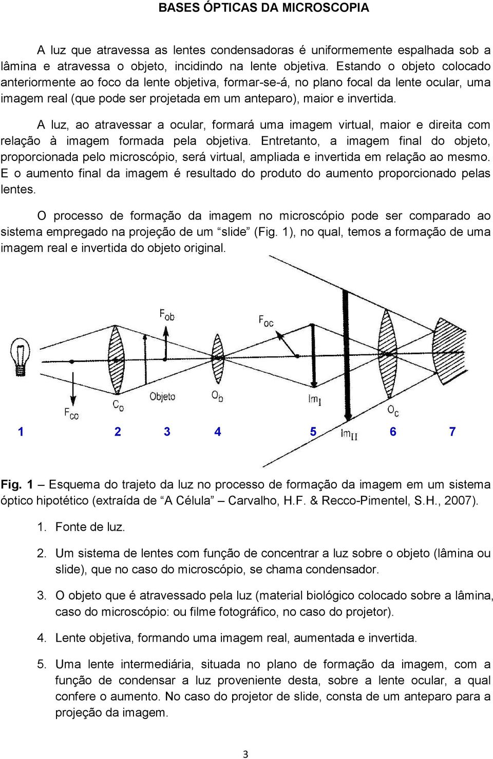 A luz, ao atravessar a ocular, formará uma imagem virtual, maior e direita com relação à imagem formada pela objetiva.