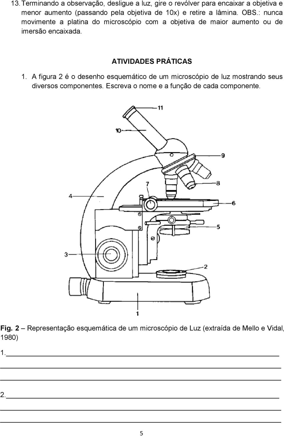 ATIVIDADES PRÁTICAS 1. A figura 2 é o desenho esquemático de um microscópio de luz mostrando seus diversos componentes.
