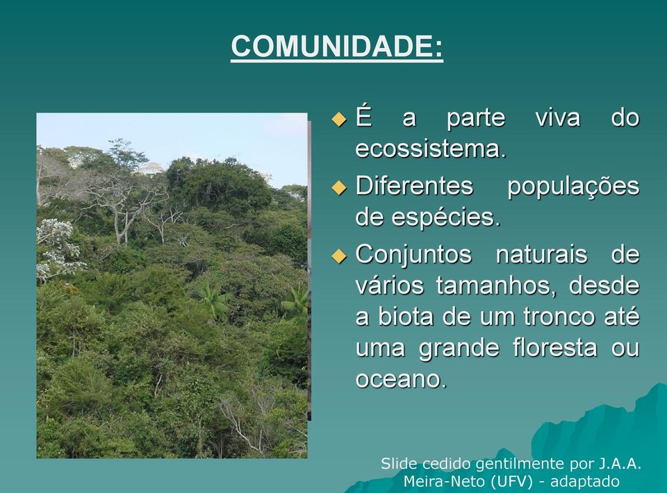 Conjuntos naturais de vários tamanhos, desde a biota de um