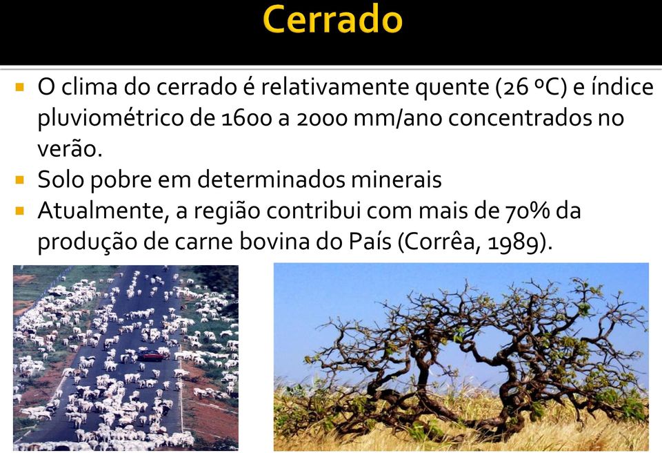 Solo pobre em determinados minerais Atualmente, a região