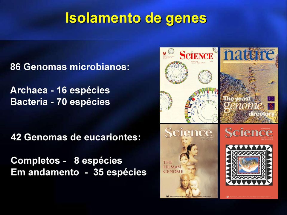 Bacteria - 70 espécies 42 Genomas de