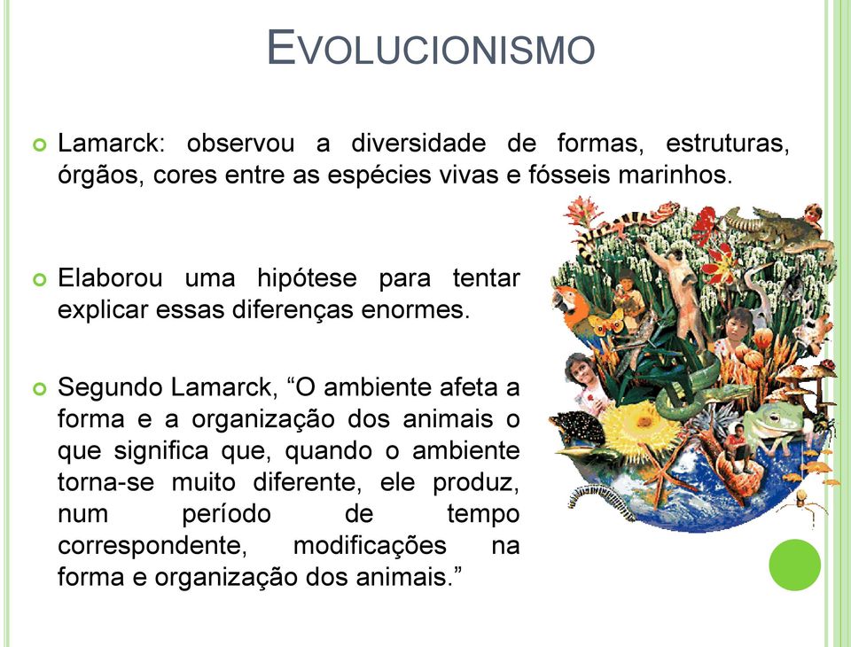 Segundo Lamarck, O ambiente afeta a forma e a organização dos animais o que significa que, quando o