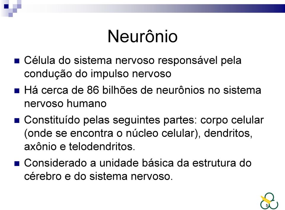 seguintes partes: corpo celular (onde se encontra o núcleo celular), dendritos,