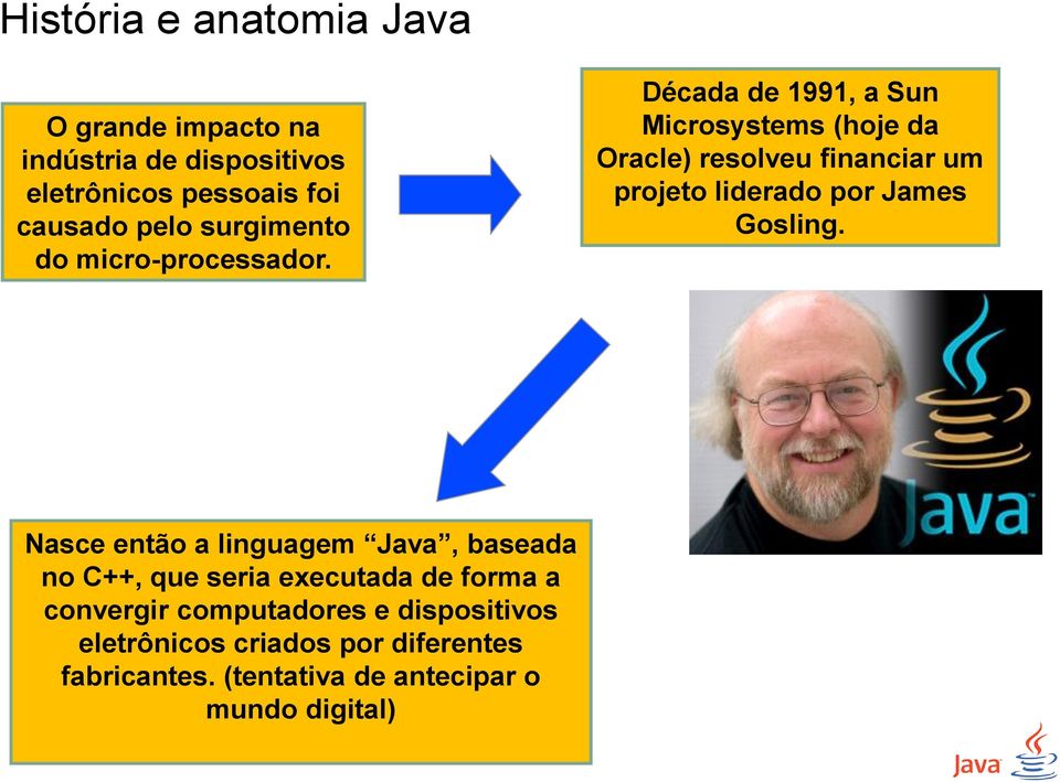 Década de 1991, a Sun Microsystems (hoje da Oracle) resolveu financiar um projeto liderado por James