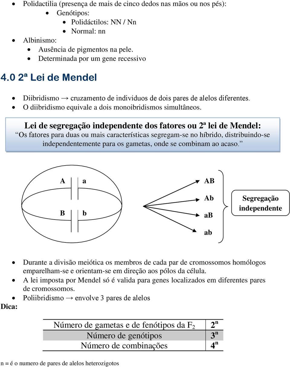 Lei de segregação independente dos fatores ou 2ª lei de Mendel: Os fatores para duas ou mais características segregam-se no híbrido, distribuindo-se independentemente para os gametas, onde se