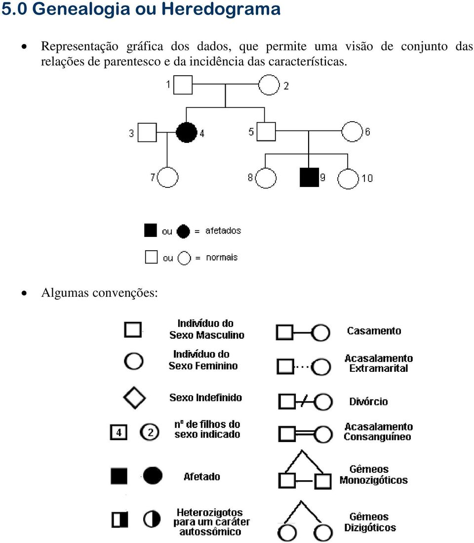 conjunto das relações de parentesco e da